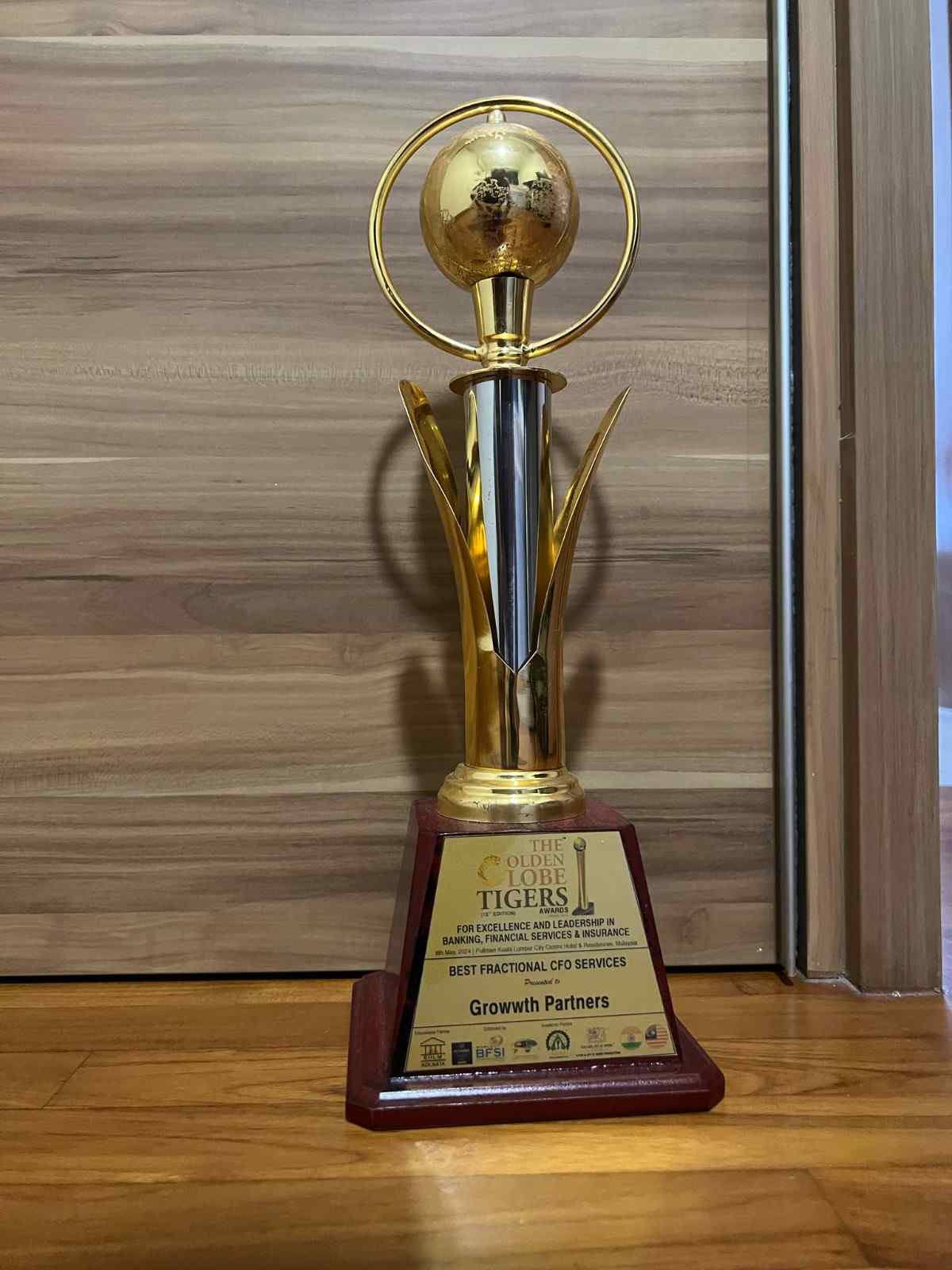 Best Fractional CFO Services